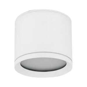 Bodové svietidlo VIVO 1xGX53/10W/230V 10 cm biela